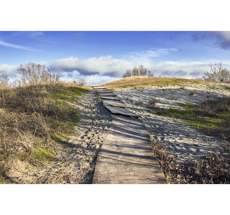 風景壁壁画木の小道の風景 - TENSTICKERS