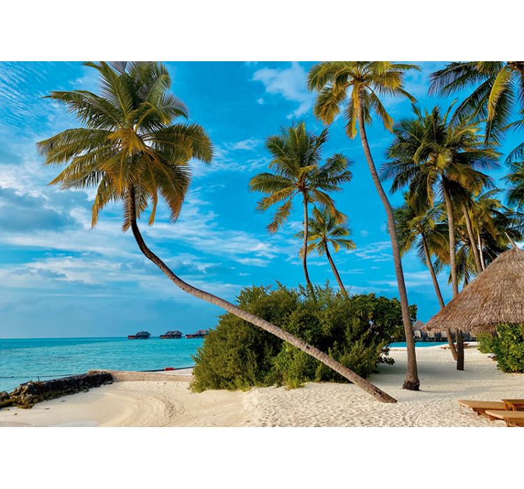 自然 壁画 トロピカルパーム風景 - TENSTICKERS