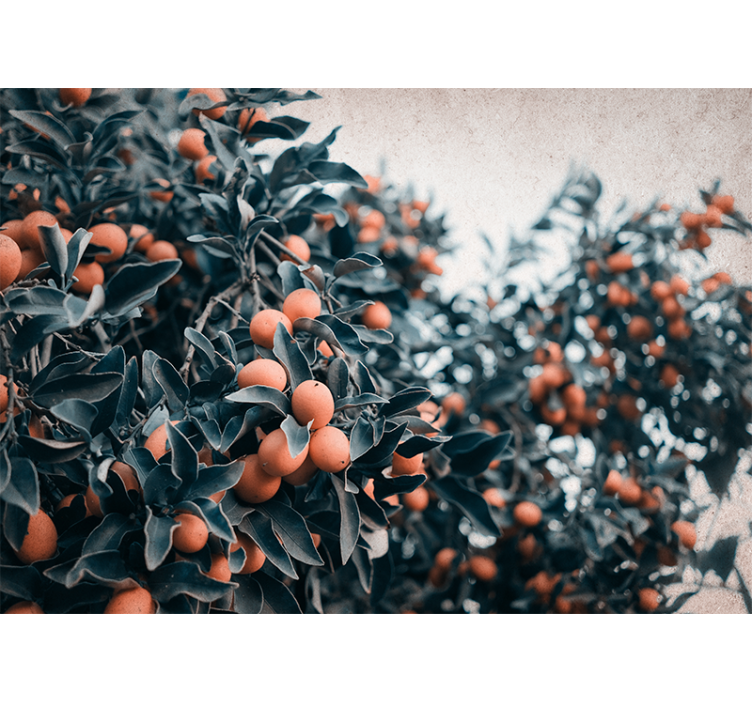 花 柄 壁画 柑橘類の果実の枝 - TENSTICKERS