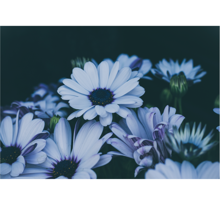 花 柄 壁画 穏やかな花のアレンジメント - TENSTICKERS