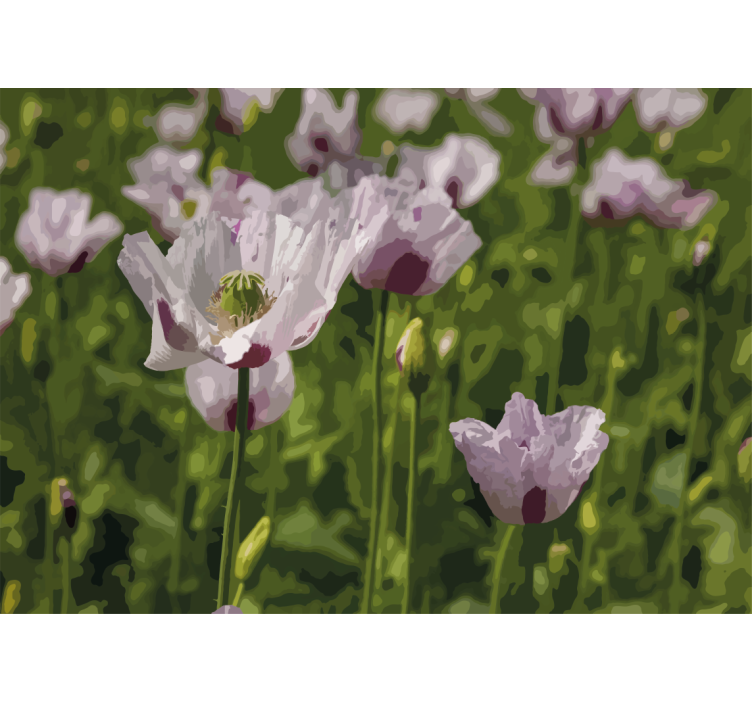 ケシの壁の壁画 花の優雅さ - TENSTICKERS