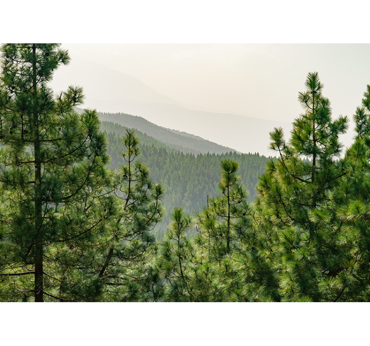 自然 壁画 緑豊かな風景 - TENSTICKERS