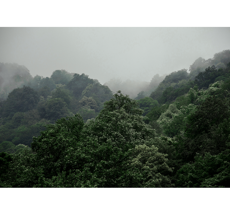 森の壁の壁画霧の風景 - TENSTICKERS