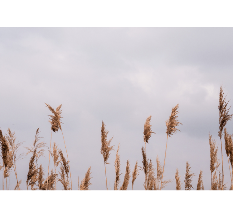 壁画 木 背の高い草のシルエット - TENSTICKERS