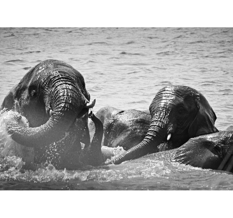 動物 壁画 水の中の象 - TENSTICKERS