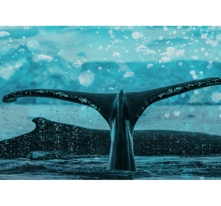 動物 壁画 クジラの尾ひれの水しぶき - TENSTICKERS