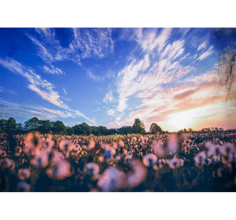 花 柄 壁画 タンポポ畑の静けさ - TENSTICKERS