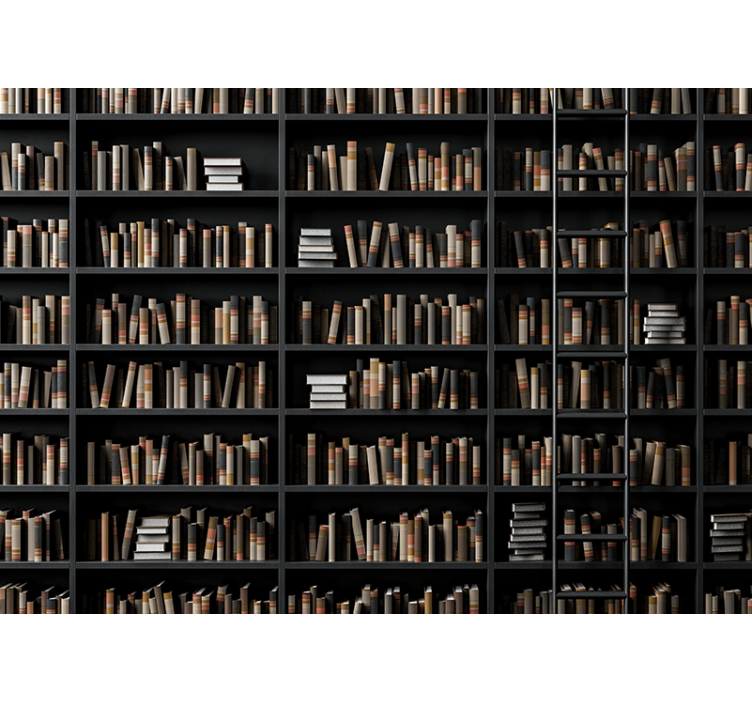 本棚の目の錯覚3d壁画 - TENSTICKERS