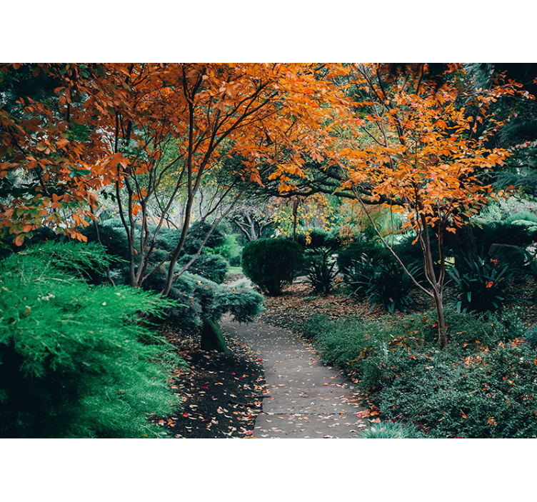 自然 壁画 木々の間の小道 - TENSTICKERS