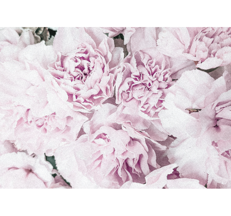 花 柄 壁画 ソフトピンクの花々 - TENSTICKERS