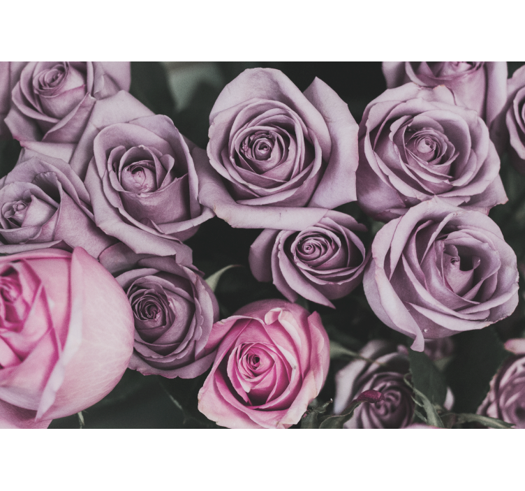 花 柄 壁画 ラベンダーローズブーケ - TENSTICKERS