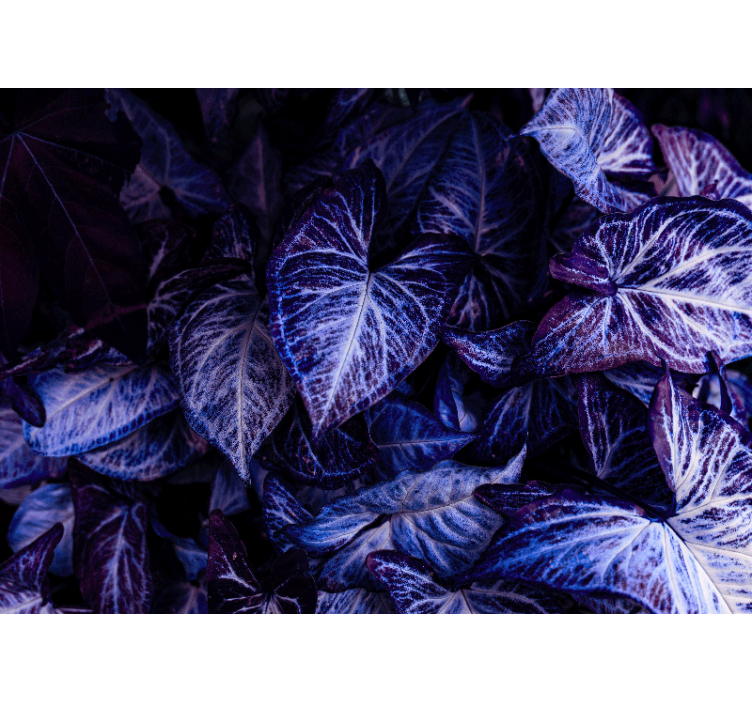 リビングルームの壁画紫の葉のパターン - TENSTICKERS