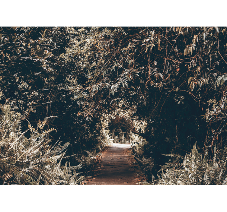 自然 壁画 森の小道 - TENSTICKERS