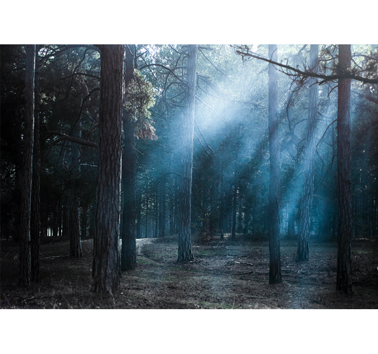 森の壁の壁画霧のかかった小道 - TENSTICKERS