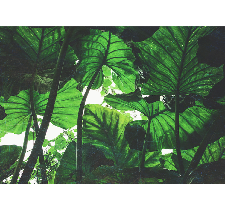 美しい緑の熱帯雨林の森の壁の壁画 - TENSTICKERS