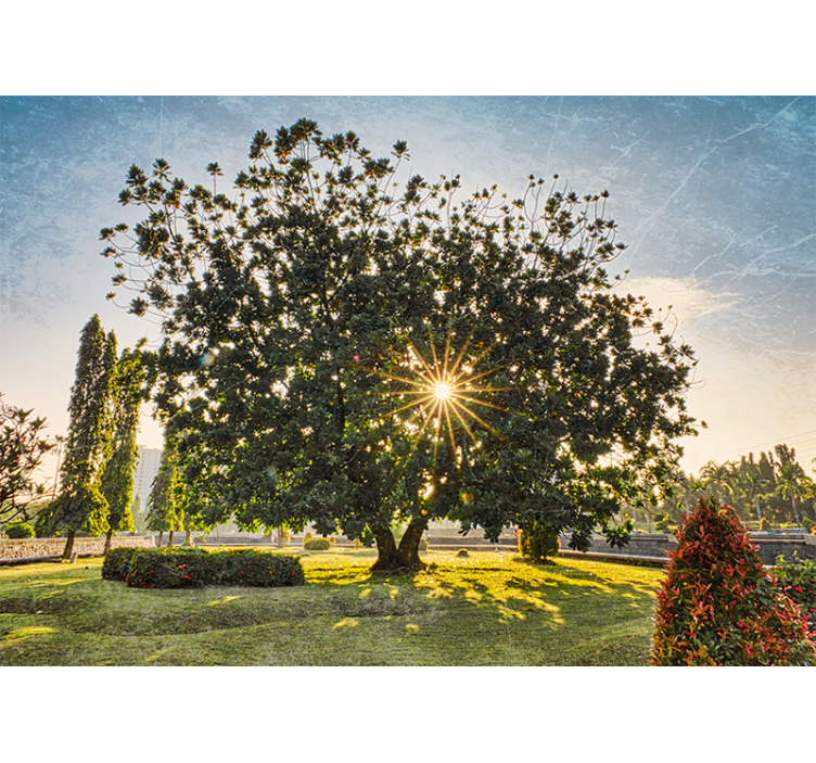 自然 壁画 晴れた木の景色 - TENSTICKERS