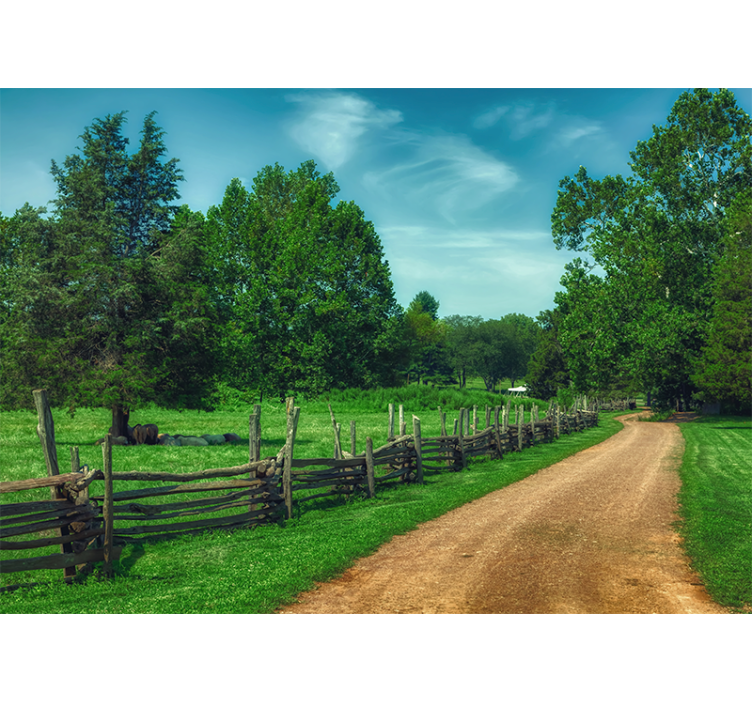 風景壁壁画鮮やかな緑の小道 - TENSTICKERS