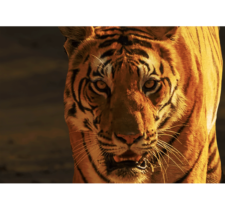 威嚇するような怒っている虎の壁の壁画 - TENSTICKERS