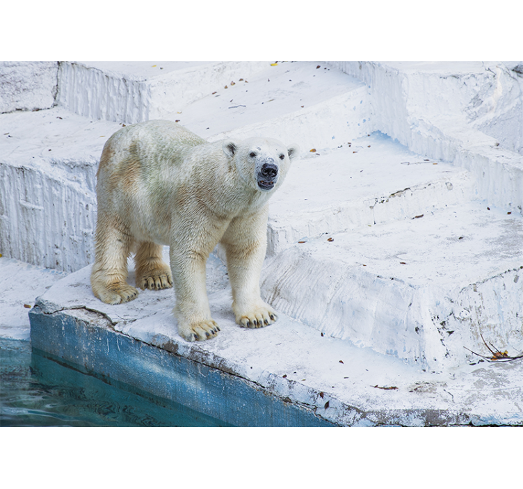 動物 壁画 ホッキョクグマの立ち姿 - TENSTICKERS