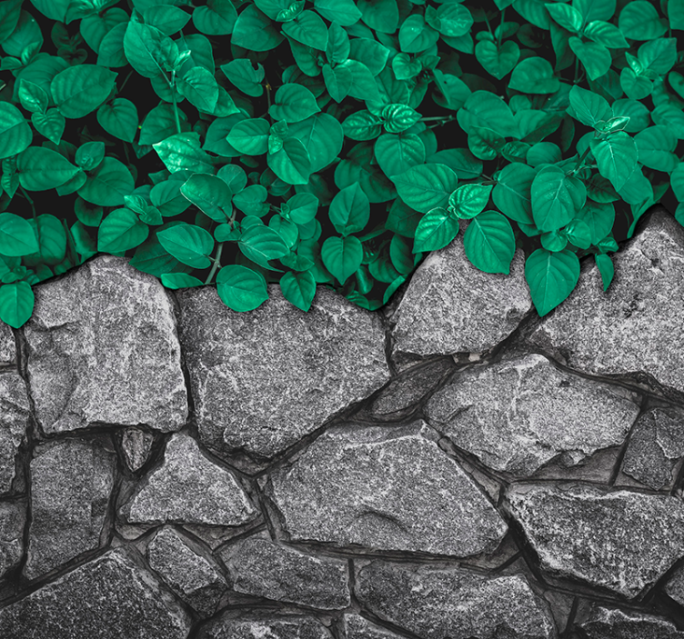 自然 壁画 豊かな緑のコントラスト - TENSTICKERS