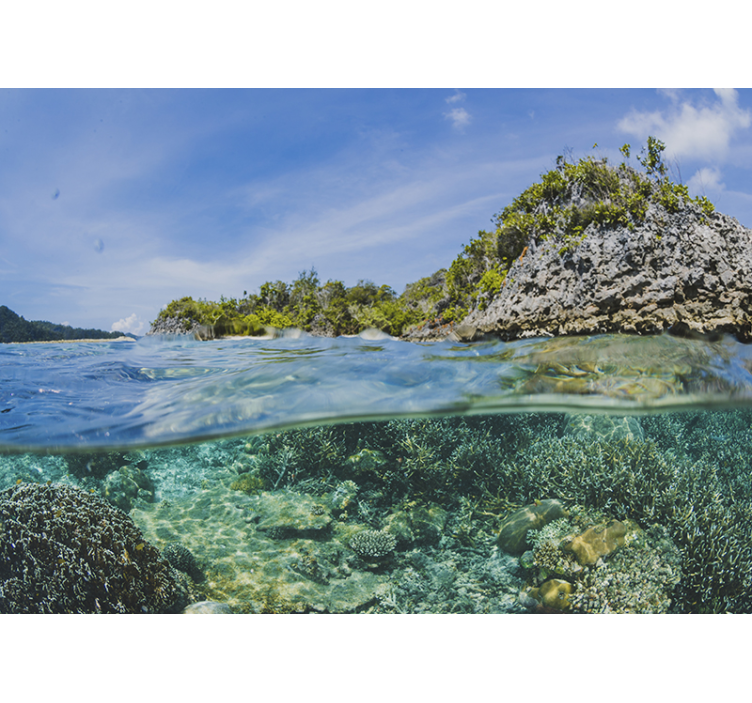 水中プロファイル海壁壁画 - TENSTICKERS