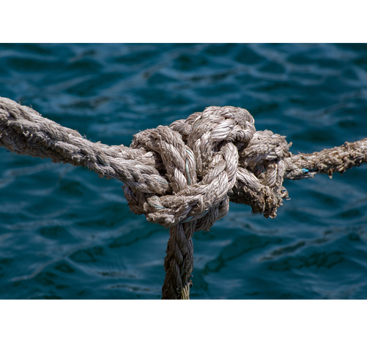 風景壁壁画ロープ海 - TENSTICKERS