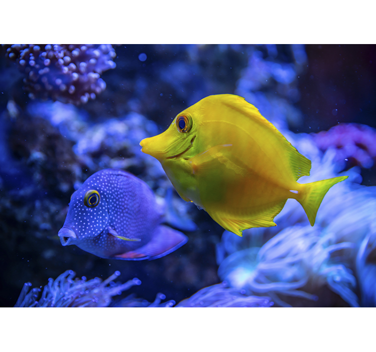 青と黄色の魚海壁壁画 - TENSTICKERS