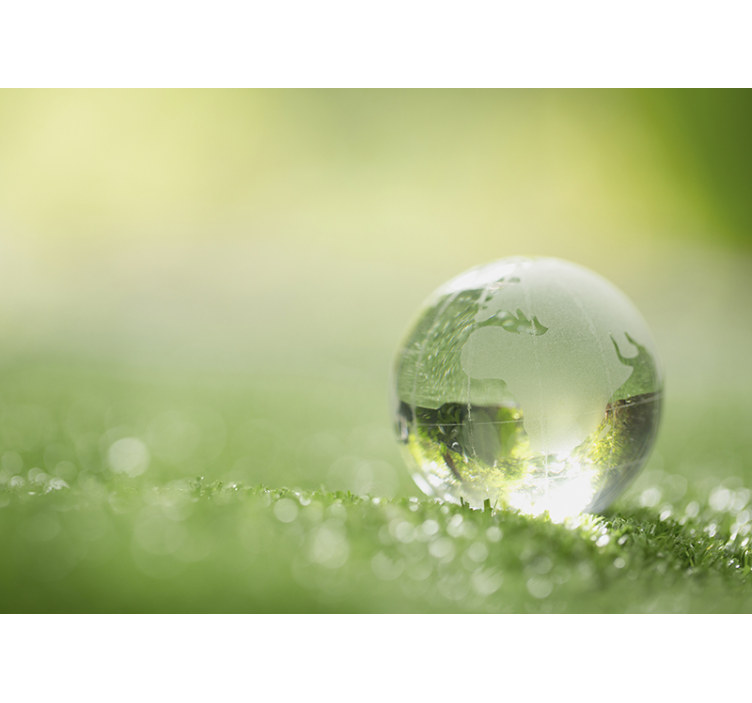 草の上の水の森壁壁画ドロップ - TENSTICKERS