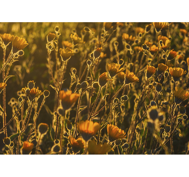 花 柄 壁画 黄金の花咲く植物 - TENSTICKERS