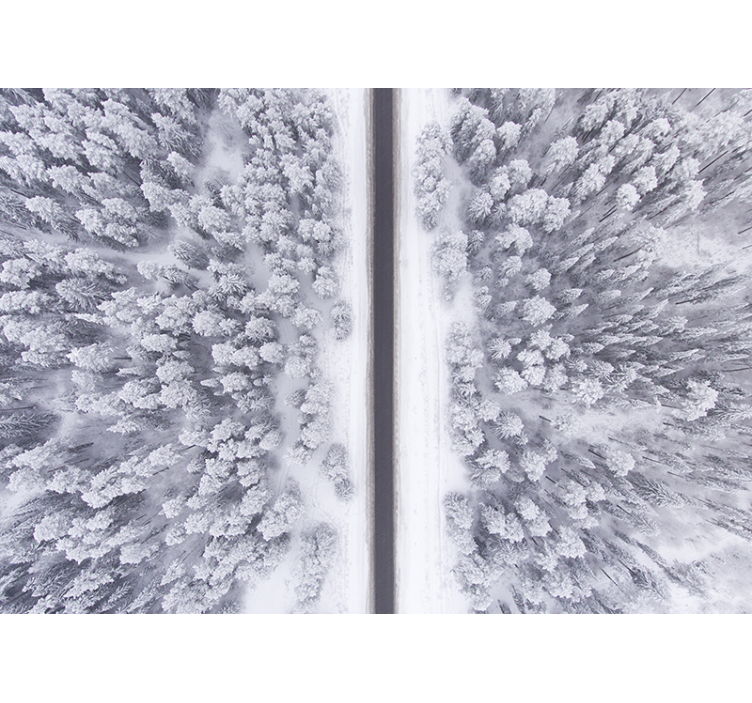 雪に覆われた森の風景の壁の壁画を通って道 - TENSTICKERS