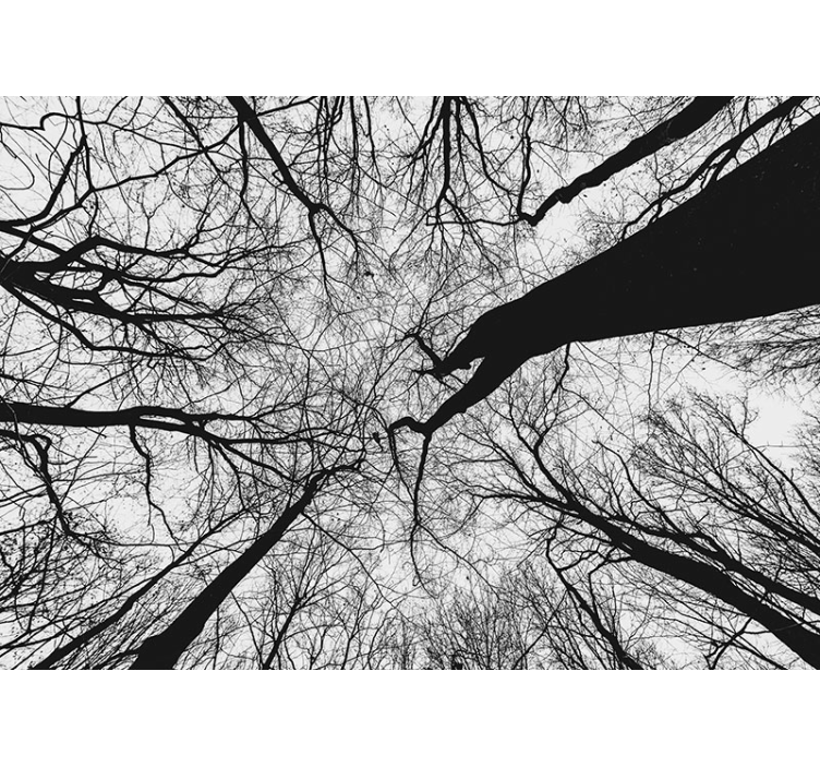 壁画 木 交差する枝のシルエット - TENSTICKERS
