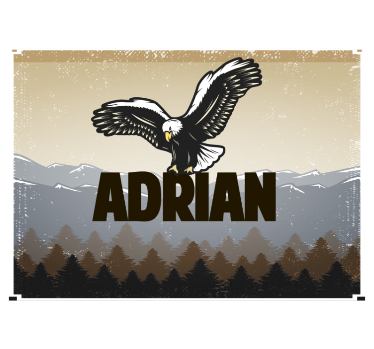 動物 壁画 飛んでいる鷲 - TENSTICKERS