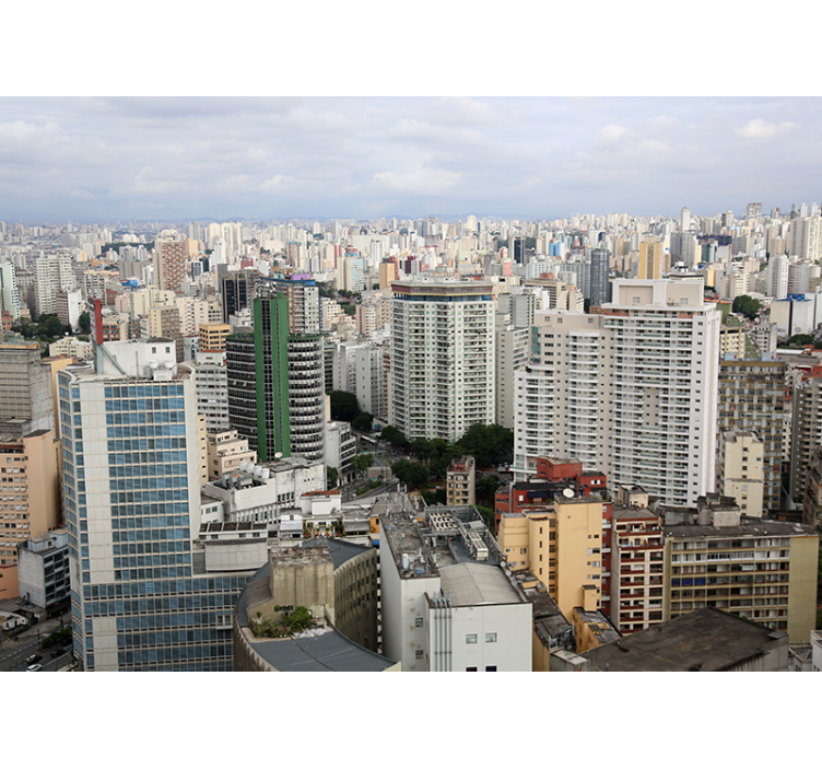 サンパウロのスカイラインの壁画 - TENSTICKERS