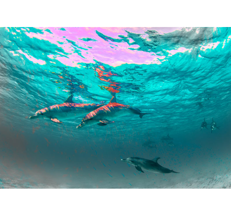 海の壁画の下で海を泳ぐイルカ - TENSTICKERS