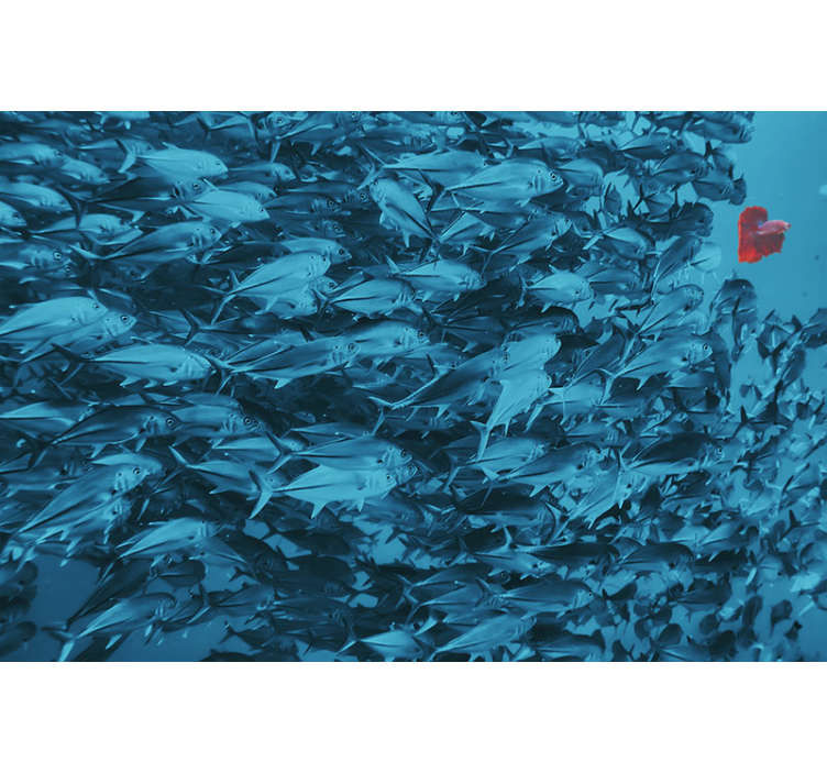 動物 壁画 水中の魚の群れ - TENSTICKERS