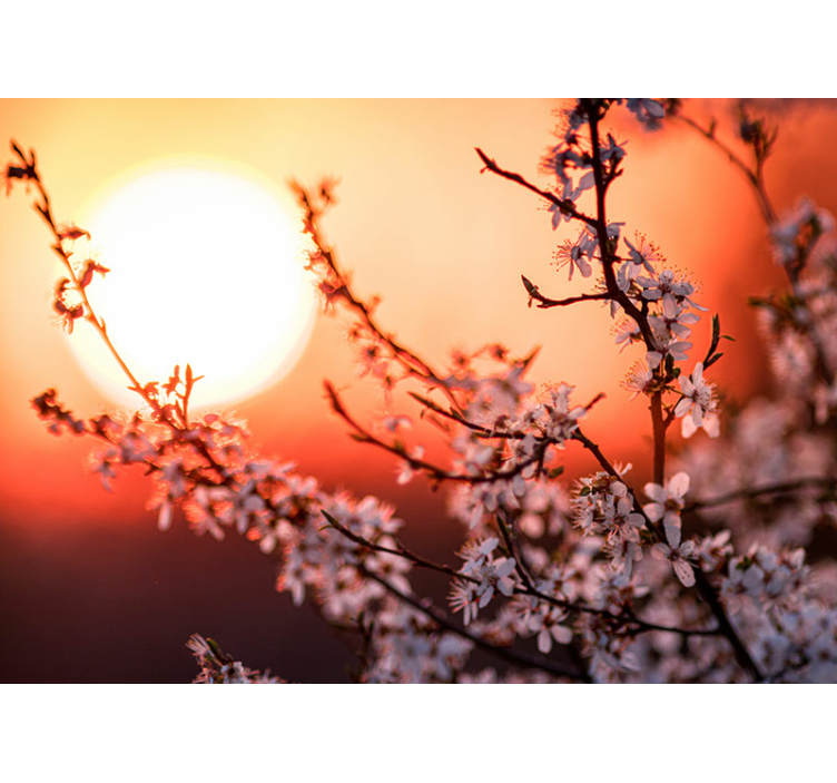 花 柄 壁画 夕焼けの花のディスプレイ - TENSTICKERS