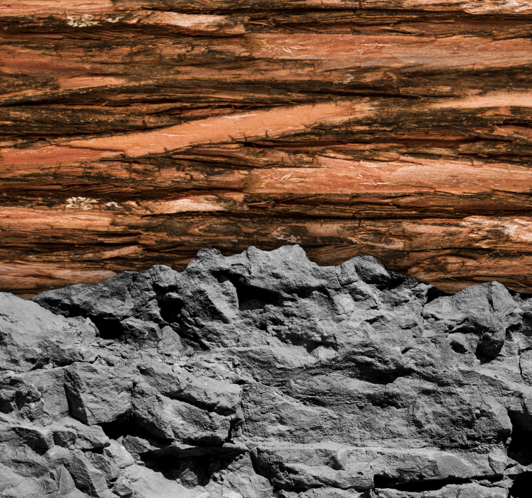 リビングルームの壁画 木と石を日本語に翻訳する木と石を、木と石という。 - TENSTICKERS