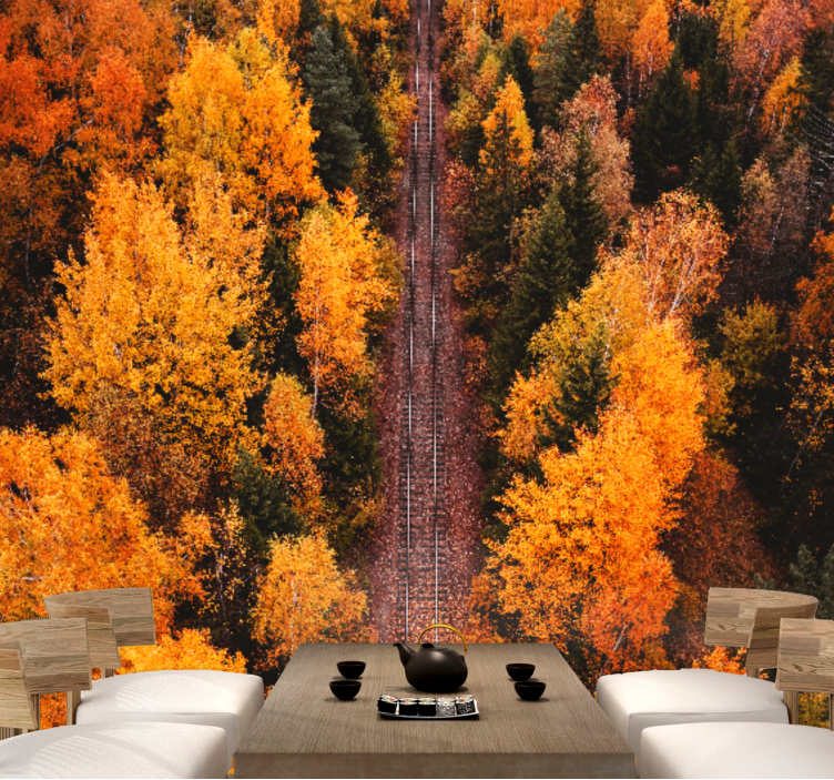 航空写真の森の木々の壁の壁画 - TENSTICKERS