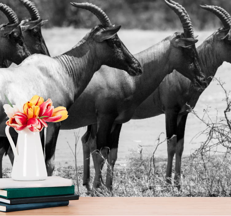 動物 壁画 アフリカのアンテロープの群れ - TENSTICKERS