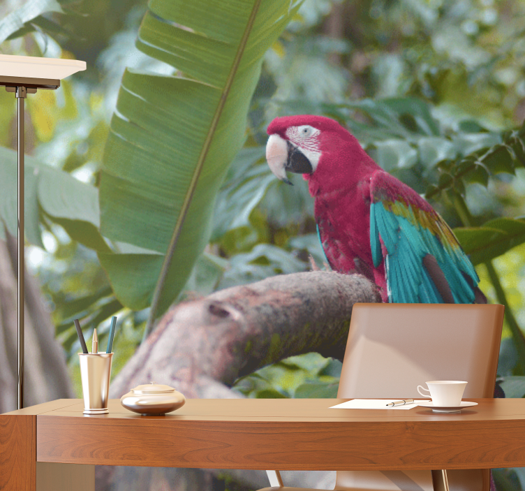 他の動物 壁画 カラフルなマコウインコ - TENSTICKERS