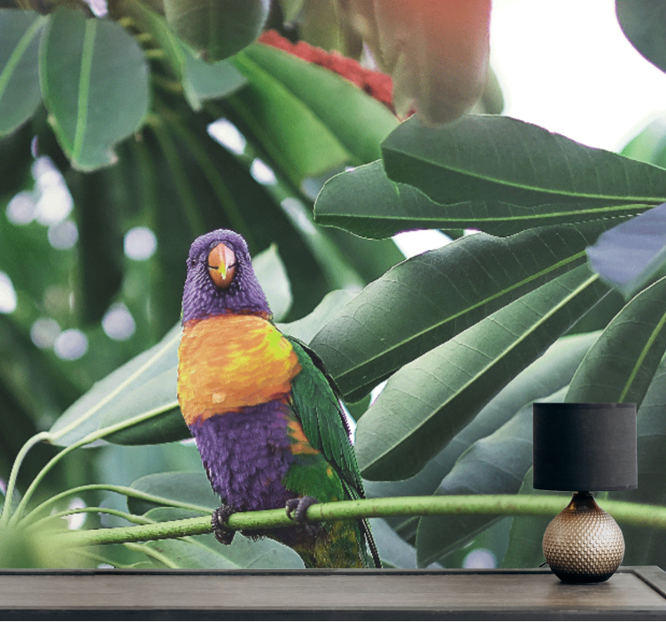 動物 壁画 カラフルなオウムの留まる姿 - TENSTICKERS