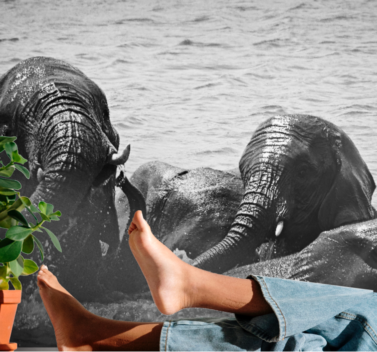 動物 壁画 水の中の象 - TENSTICKERS