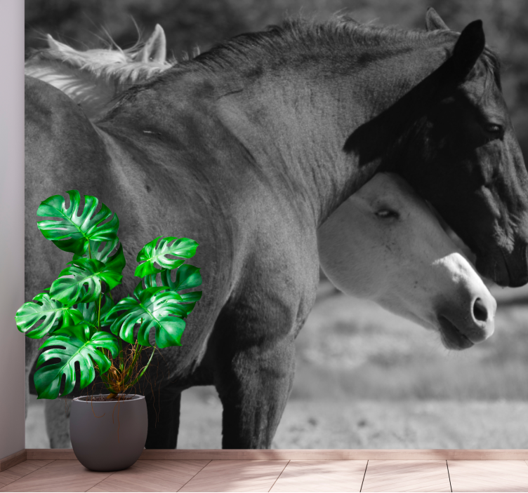 動物 壁画 馬の友情 - TENSTICKERS