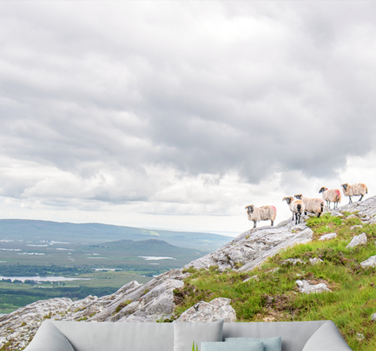 他の動物 壁画 傾斜にいる子羊 - TENSTICKERS