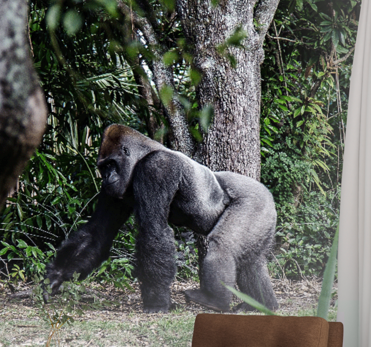 動物 壁画 威厳あるゴリラの散歩 - TENSTICKERS