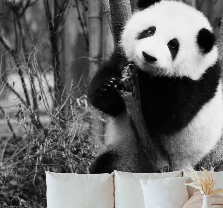 動物 壁画 パンダと木の上 - TENSTICKERS