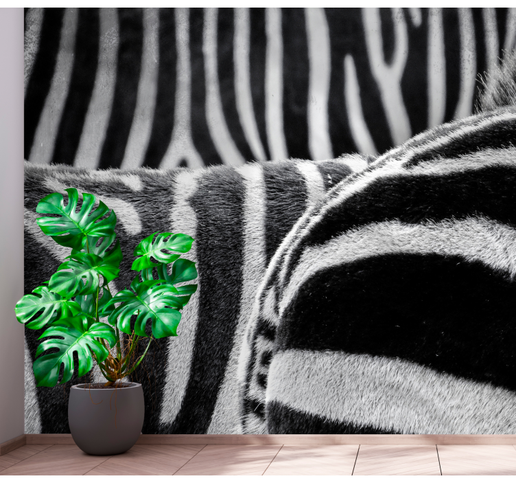 動物 壁画 リアルなシマウマの縞模様 - TENSTICKERS