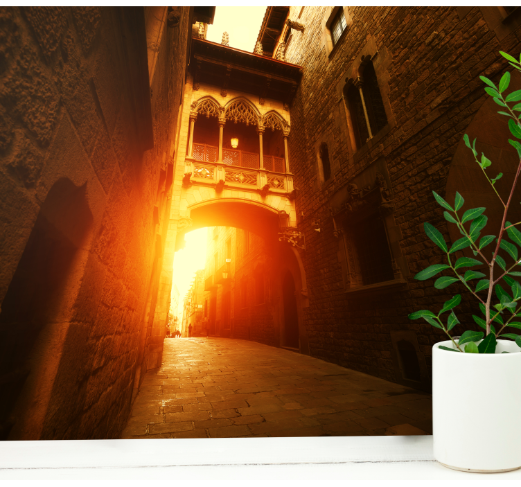 壁画 バルセロナ 歴史的ゴシックアーチウェイ - TENSTICKERS