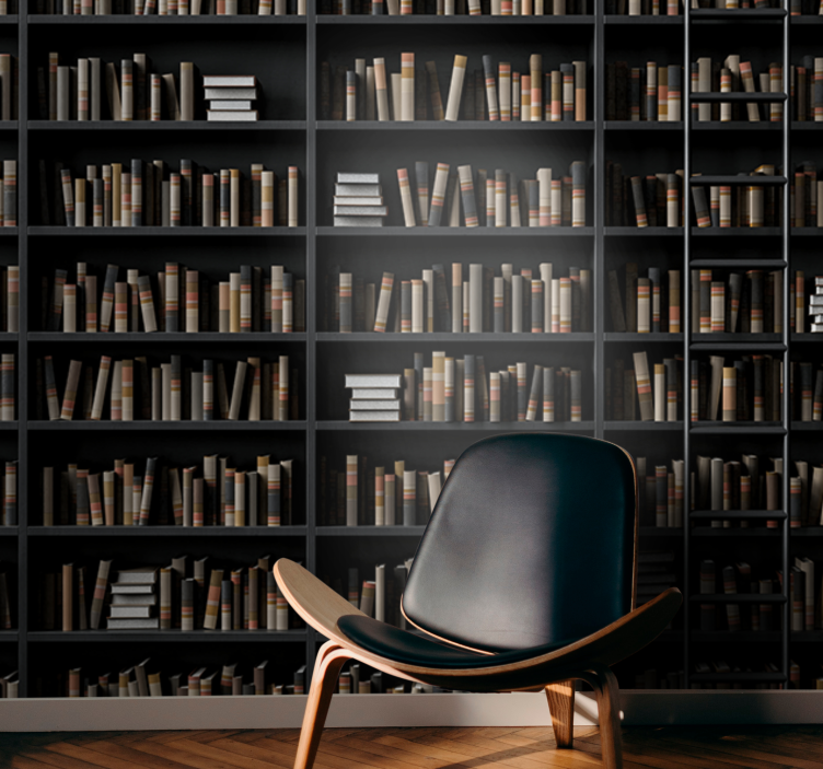 本棚の目の錯覚3d壁画 - TENSTICKERS