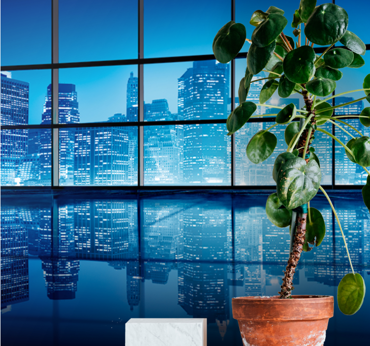 都市と国の壁の壁画都会の夜景の反映 - TENSTICKERS